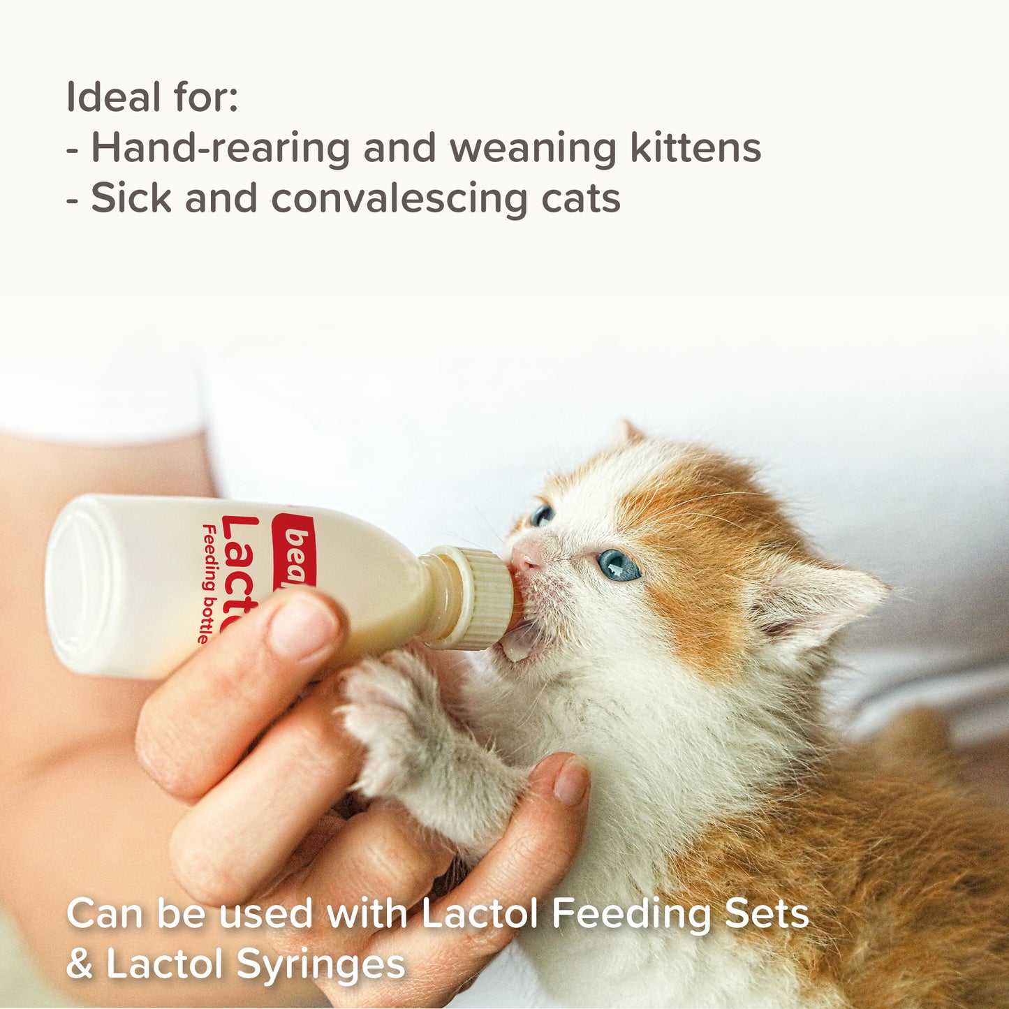 Beaphar Lactol Kitten Milk