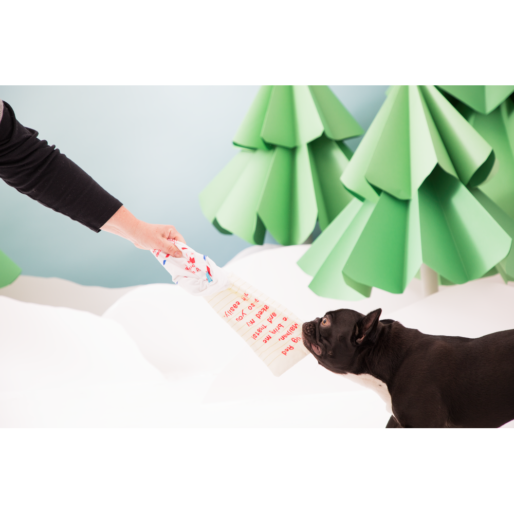 BARK Christmas Letter To Santa Paws Dog Toy - One Size