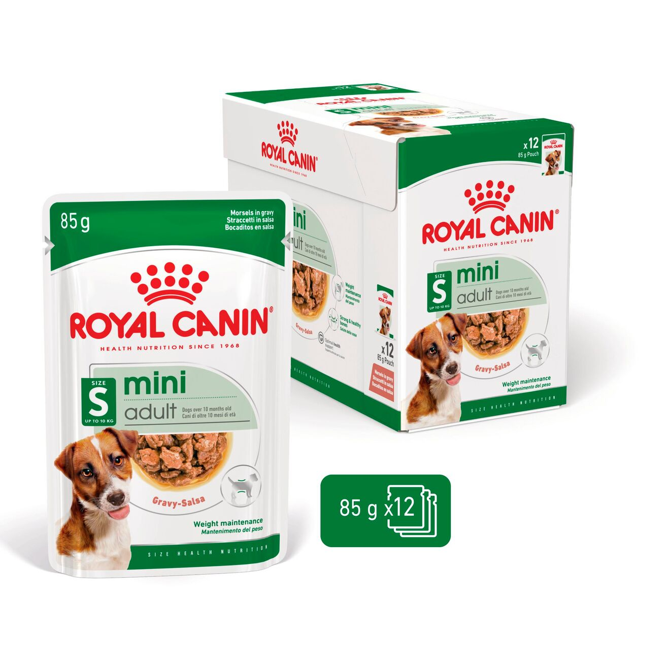 Royal Canin Size Health Nutrition Mini Adult Multipack in Gravy Wet Dog Food