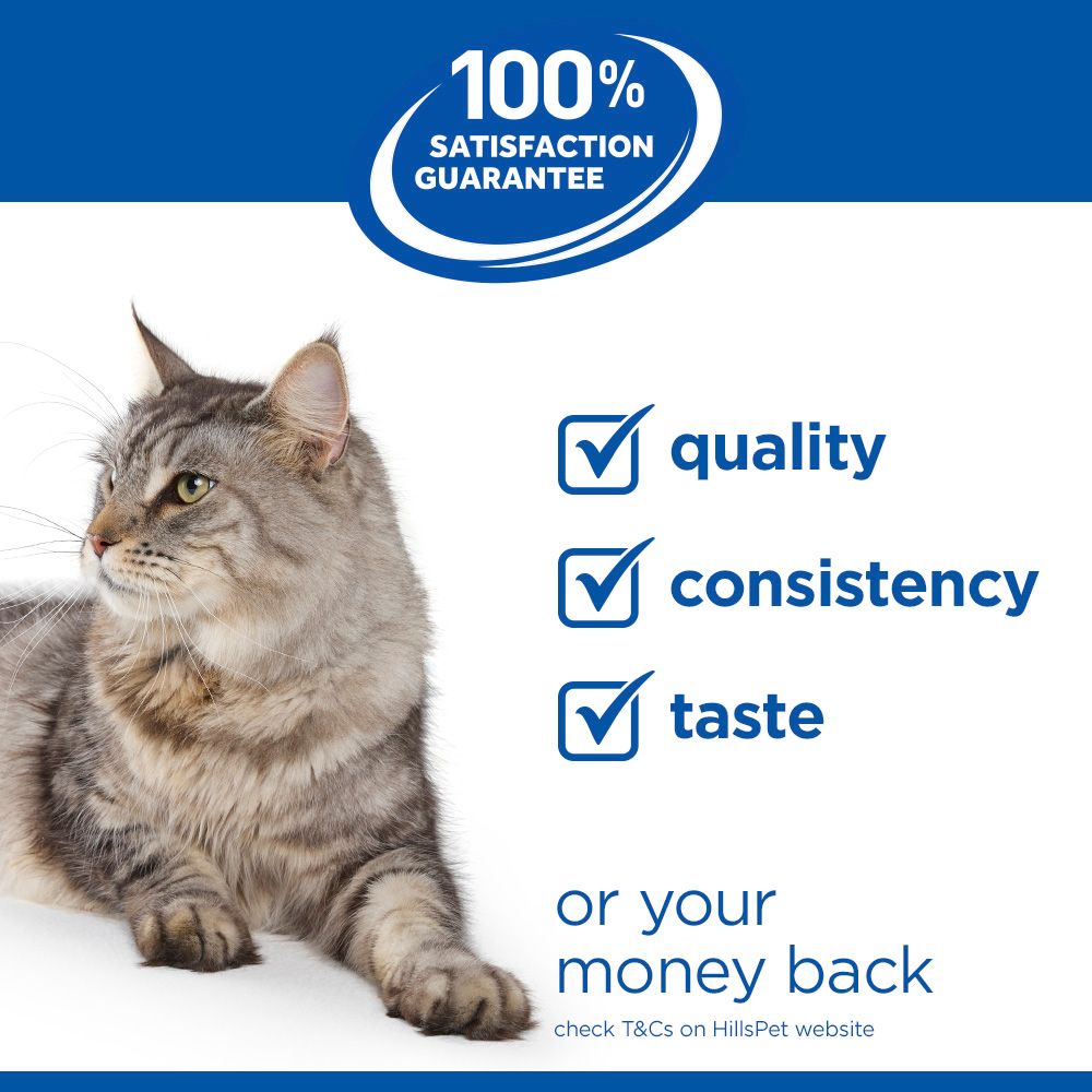 Hill's Science Plan Kitten <1 Dry Cat Food - Chicken