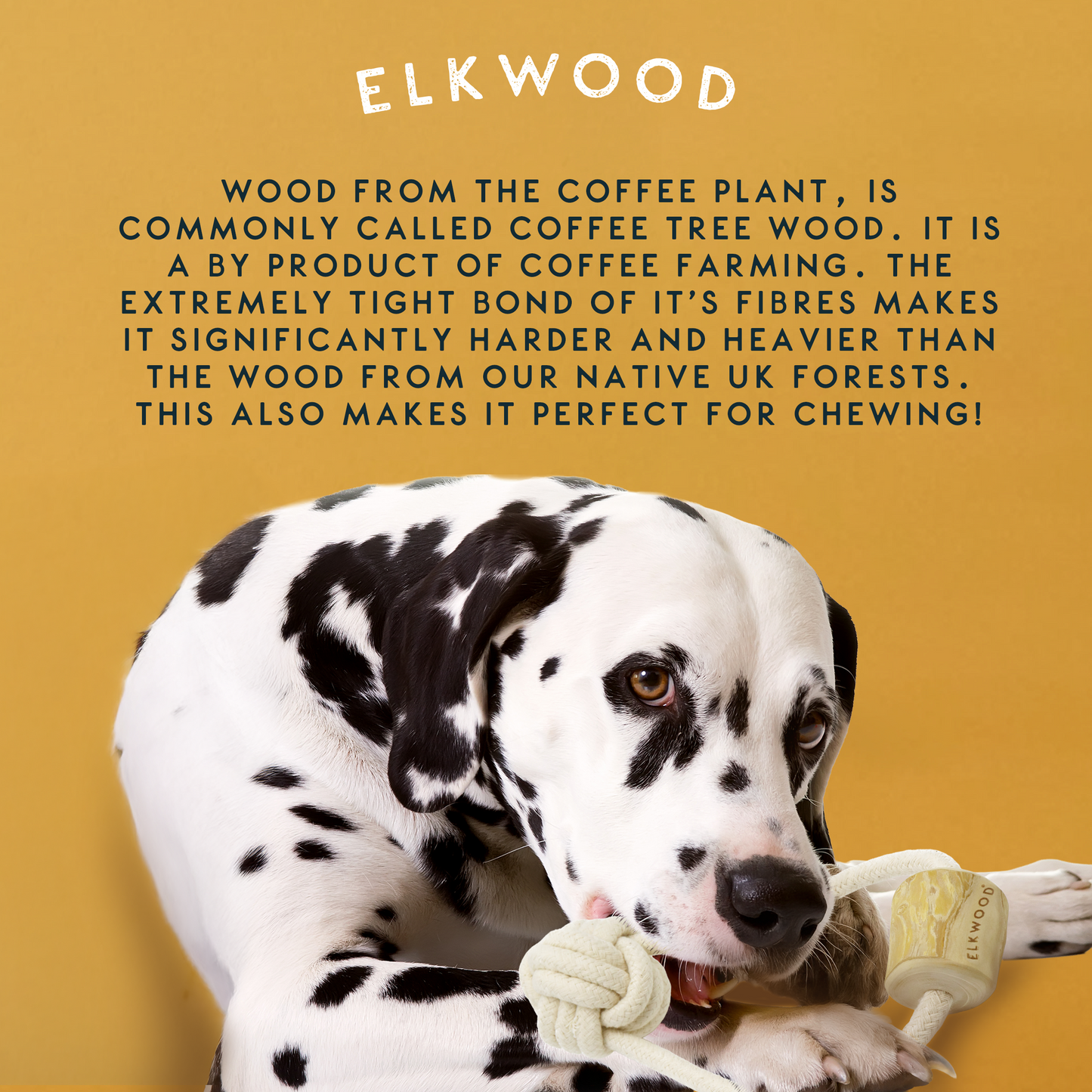 Elkwood Coffee Wood Knot & Ball Dog Toy