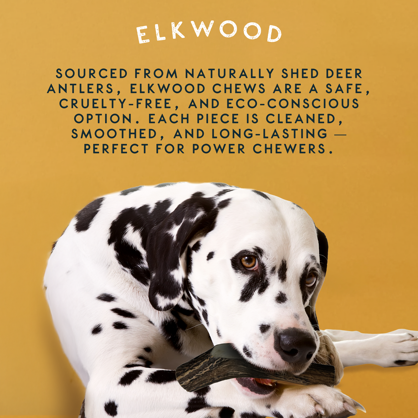 Elkwood 100% Natural Split Antler Chew | Large