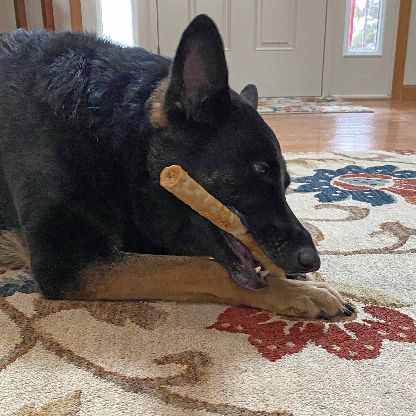 Nothin' to Hide Beef Twist Stix Dog Chews - 10 Pack