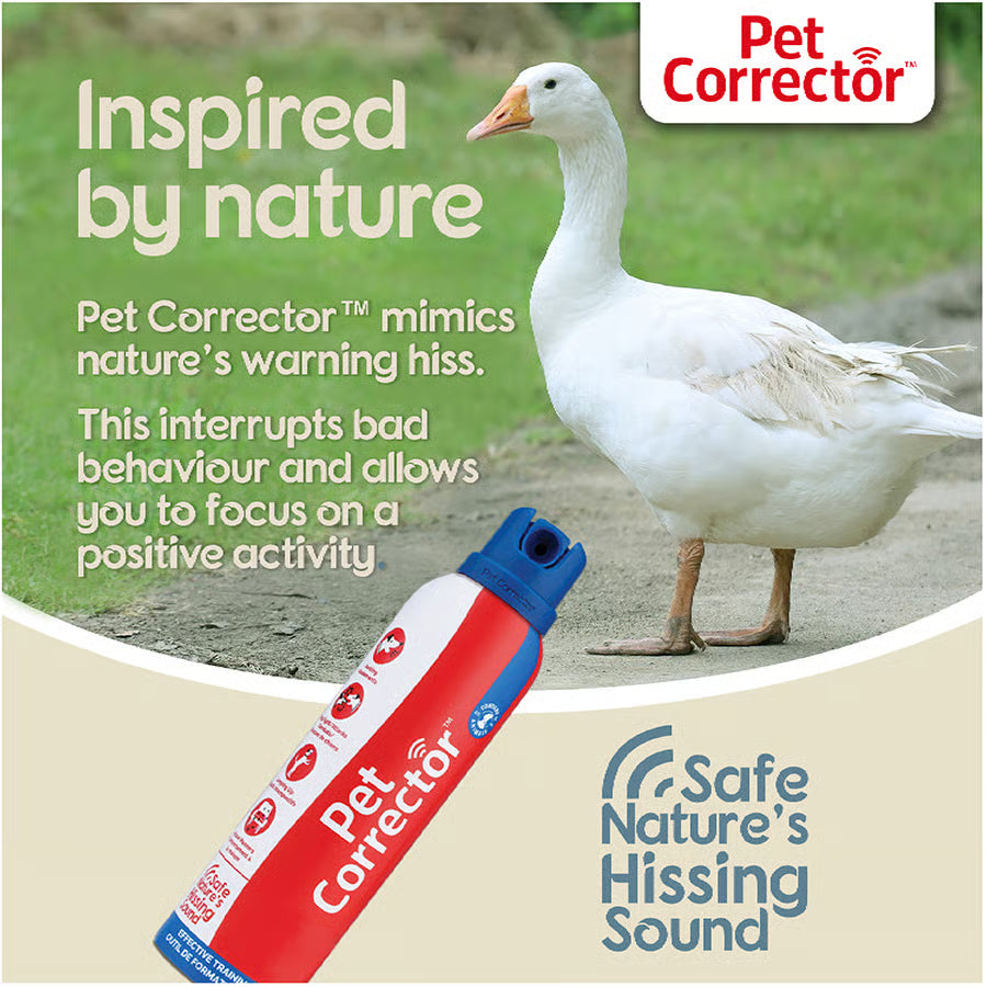 Company of Animals Pet Corrector Dog Training Spray