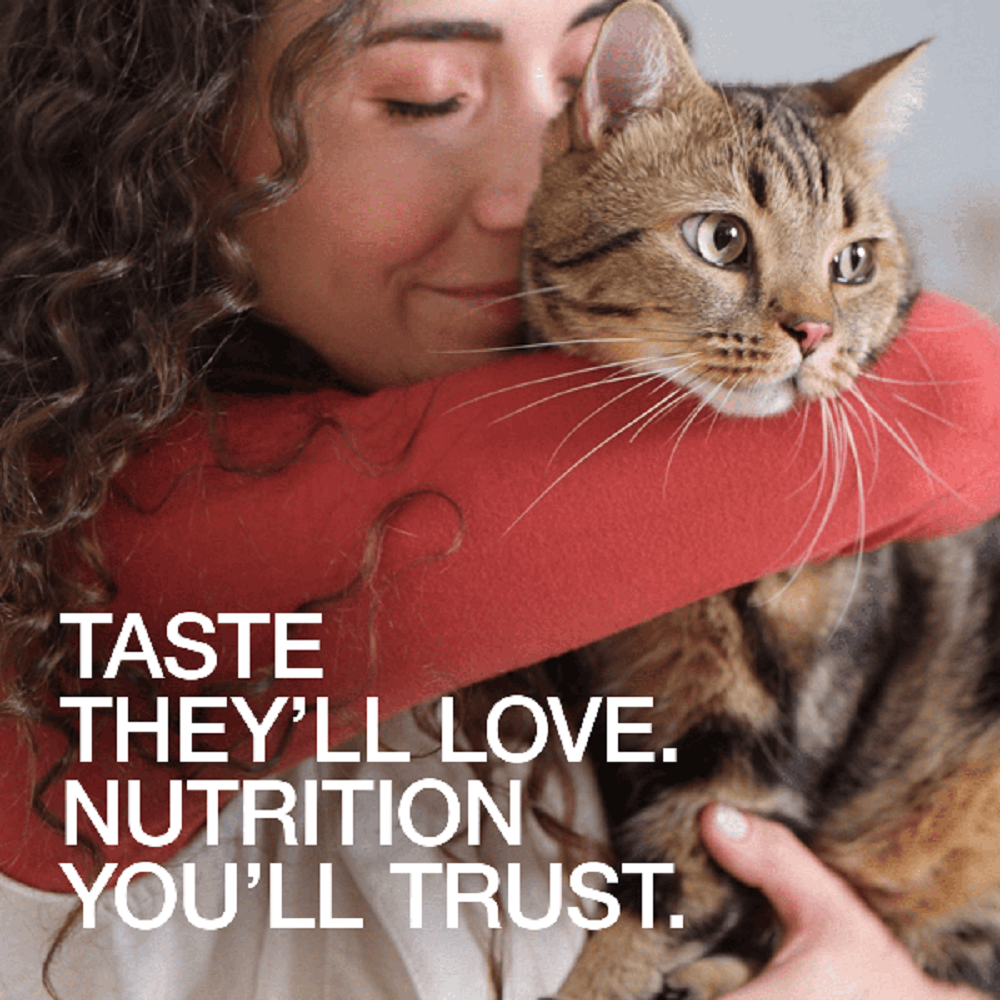 Real Simplicity Grain Free Kibble Wild Caught Salmon Adult Dry Cat Food