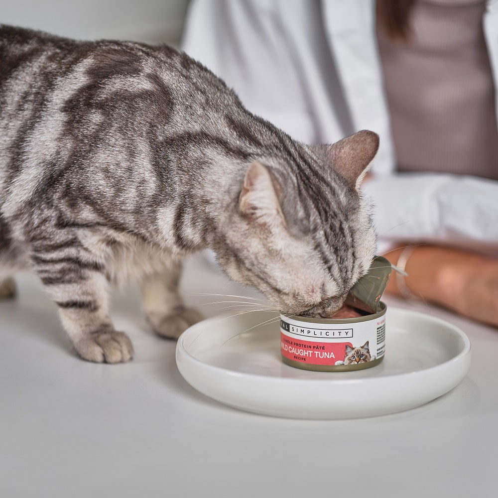 Real Simplicity Single Protein Pate Grass Fed Lamb Adult Wet Cat Food