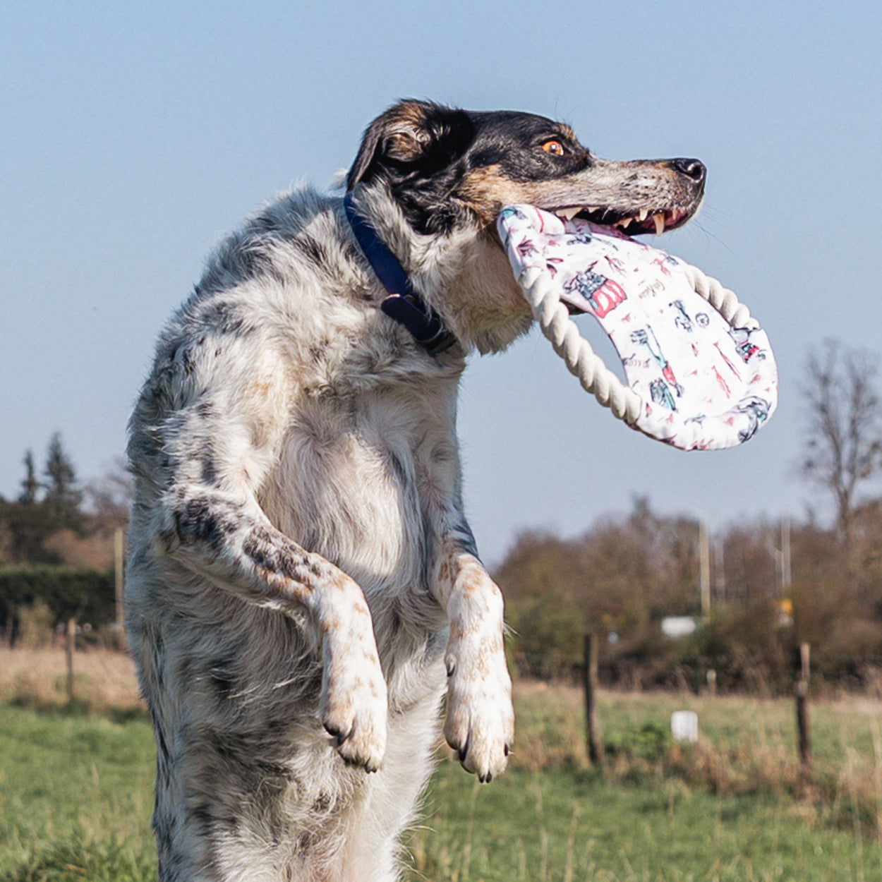 Cath Kidston Cowgirl Rope Frisbee Dog Toy