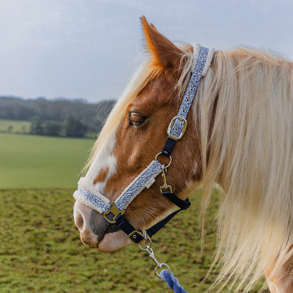 Cath Kidston Equestrian Strawberry Garden Headcollar & Leadrope Set