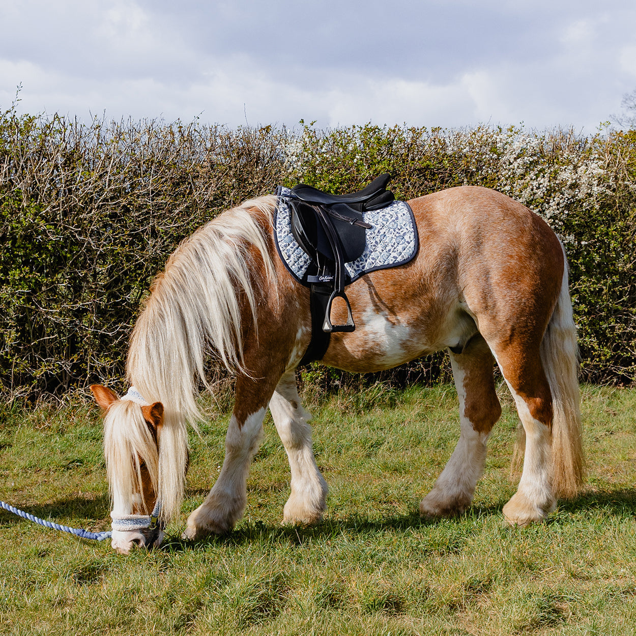 Cath Kidston Strawberry Garden GP Saddle Pad