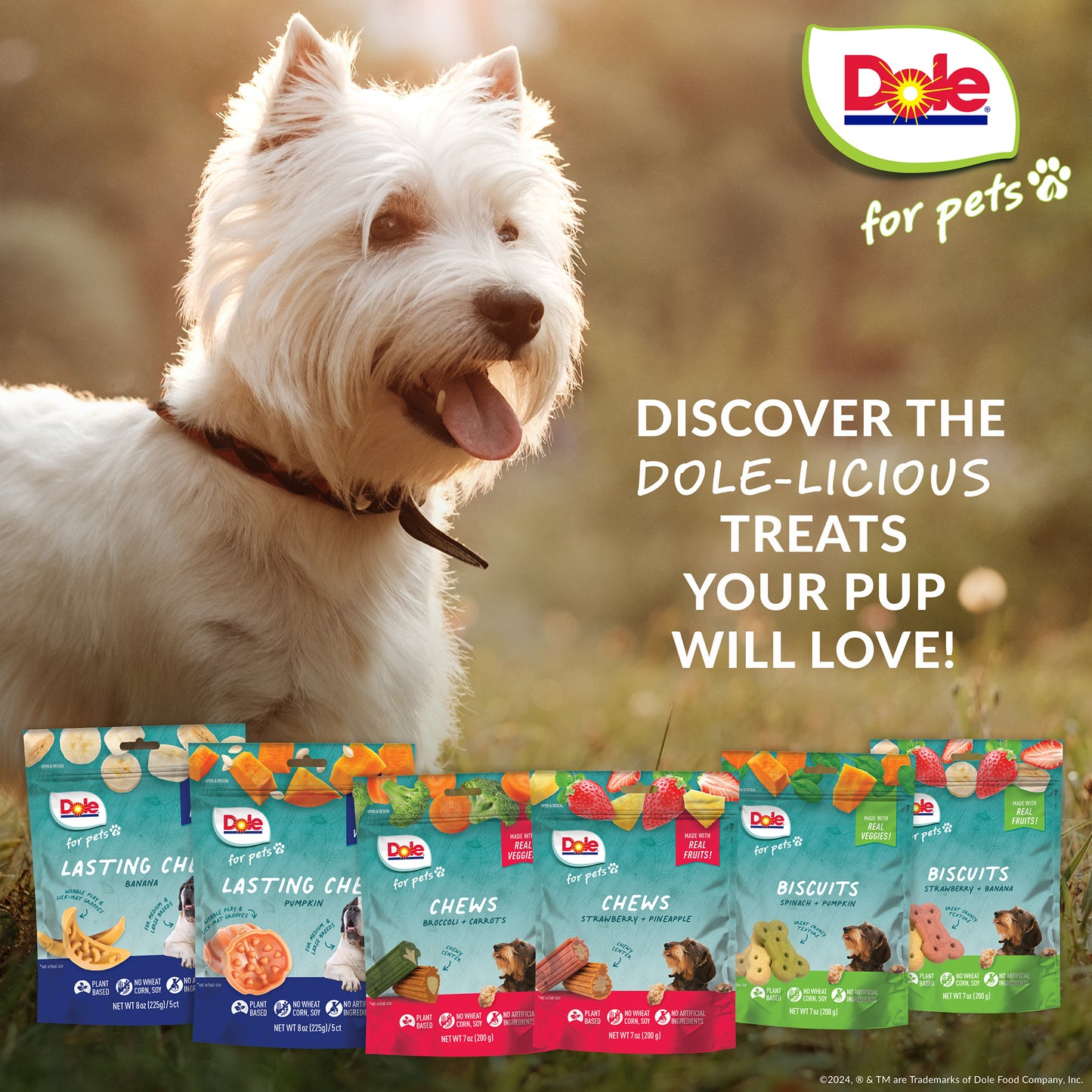Dole Broccoli & Carrot Dog Chews
