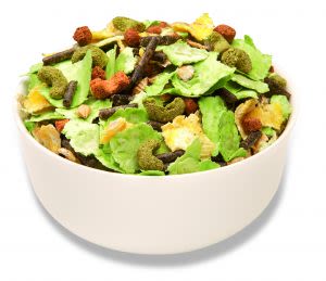 Mr Johnsons Supreme Rabbit