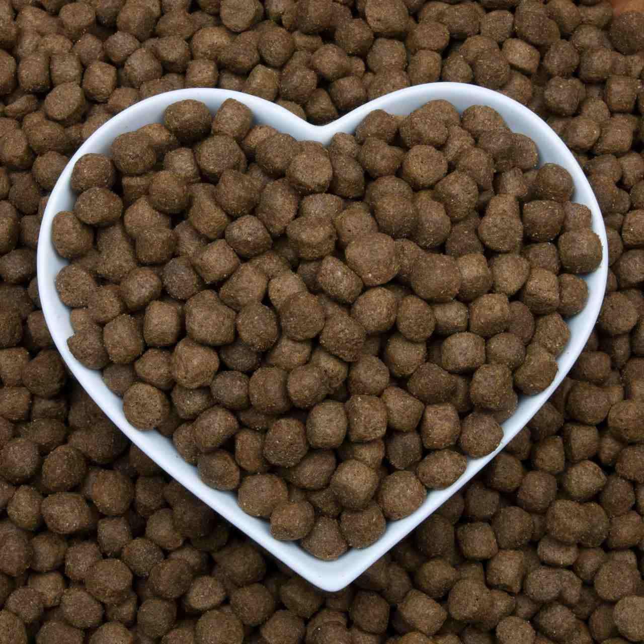 Barking Heads Bowl Lickin' Chicken