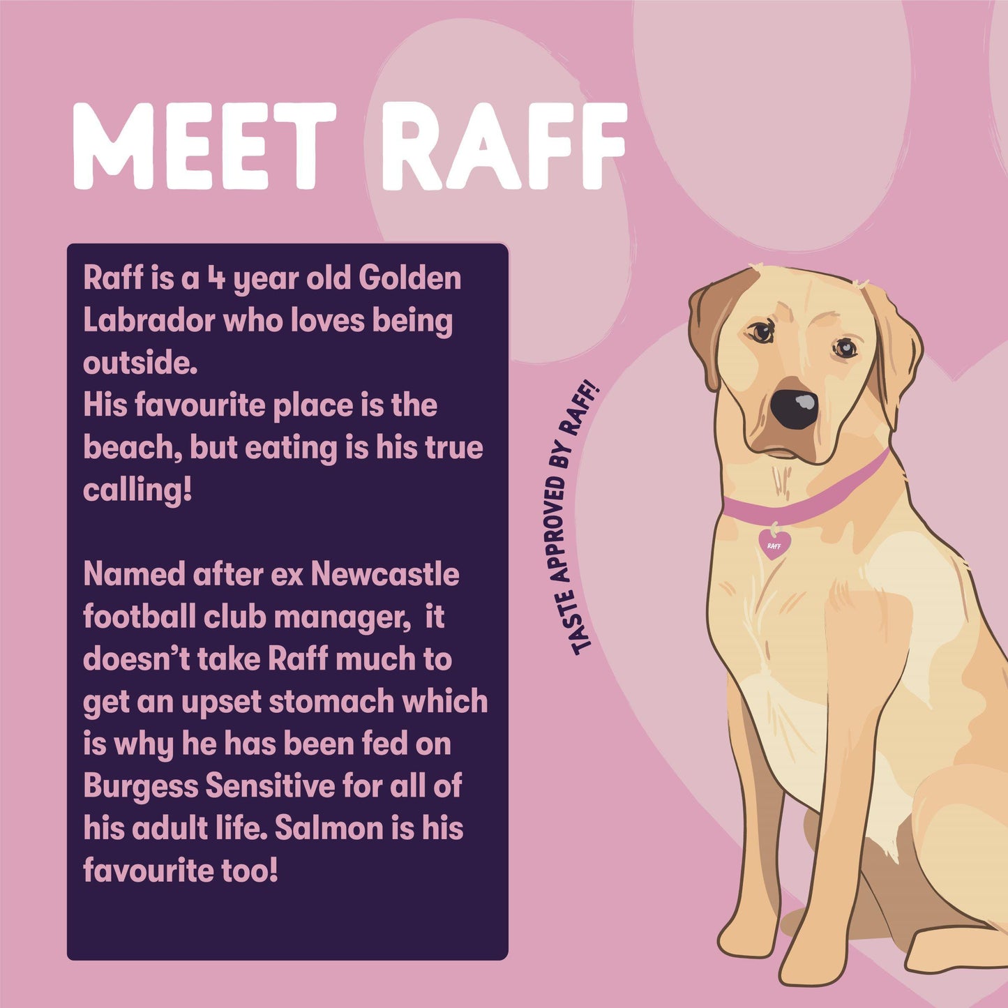 Burgess Sensitive Adult Complete Dry Dog Food - Salmon & Rice