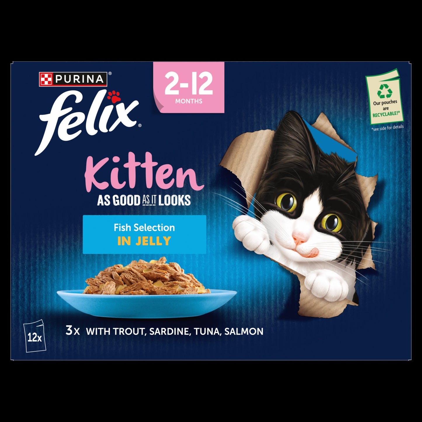 Felix As Good As it Looks Kitten Fish in Jelly Wet Cat Food