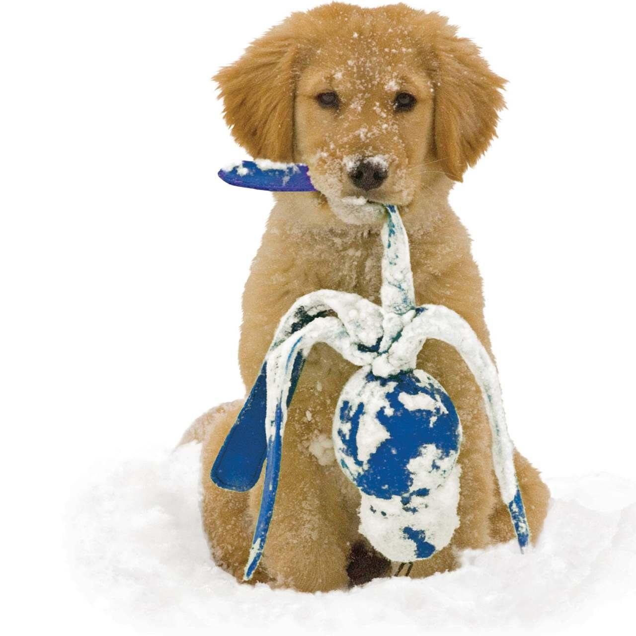 KONG Wubba Assorted Dog Tug Toy