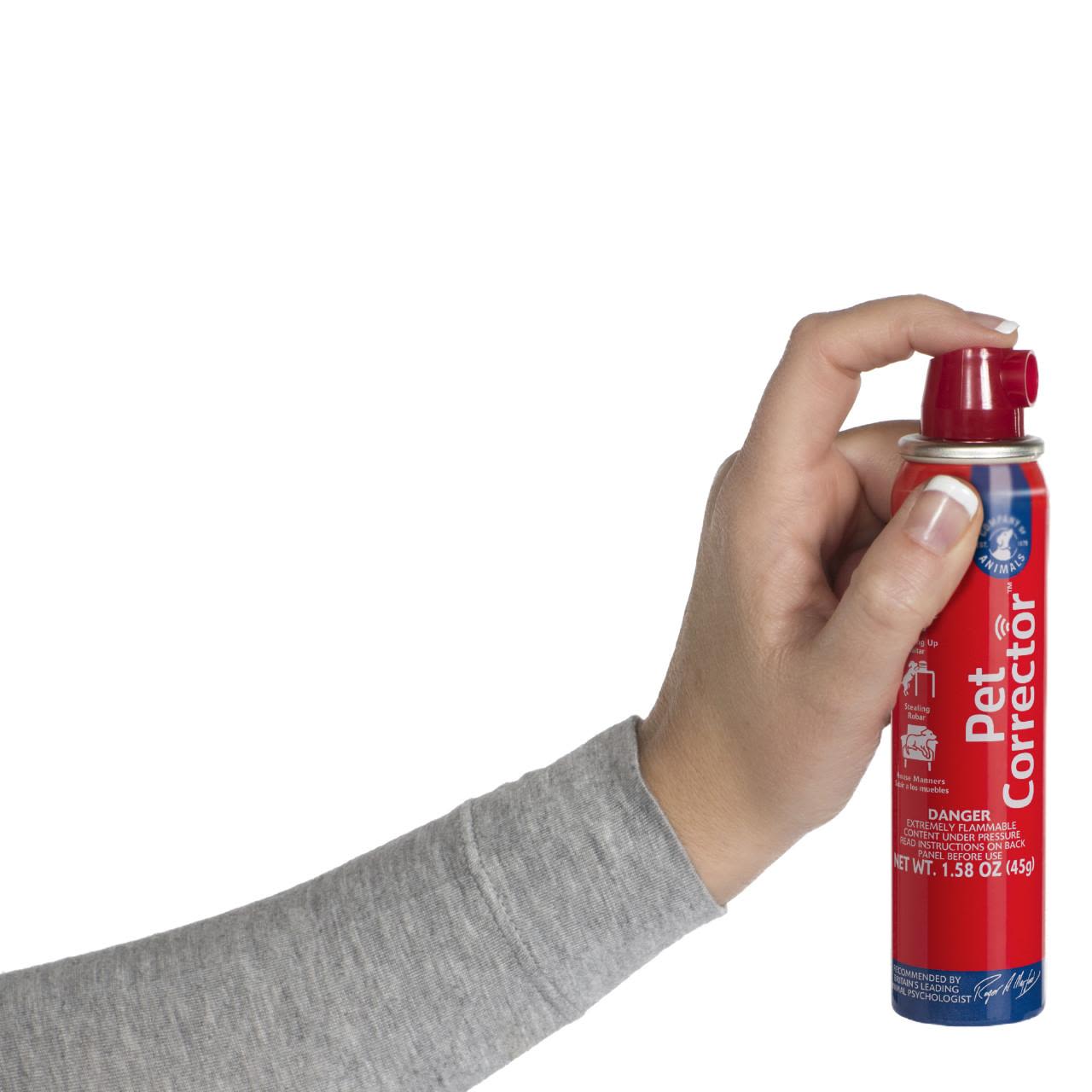 Company of Animals Pet Corrector Dog Training Spray