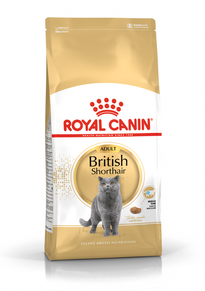 Royal Canin British Shorthair Adult Dry Cat Food