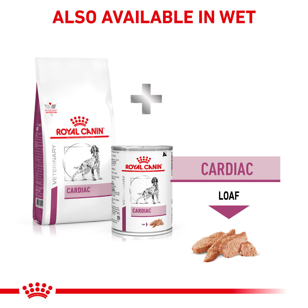 Royal Canin Cardiac Adult Wet Dog Food in Loaf