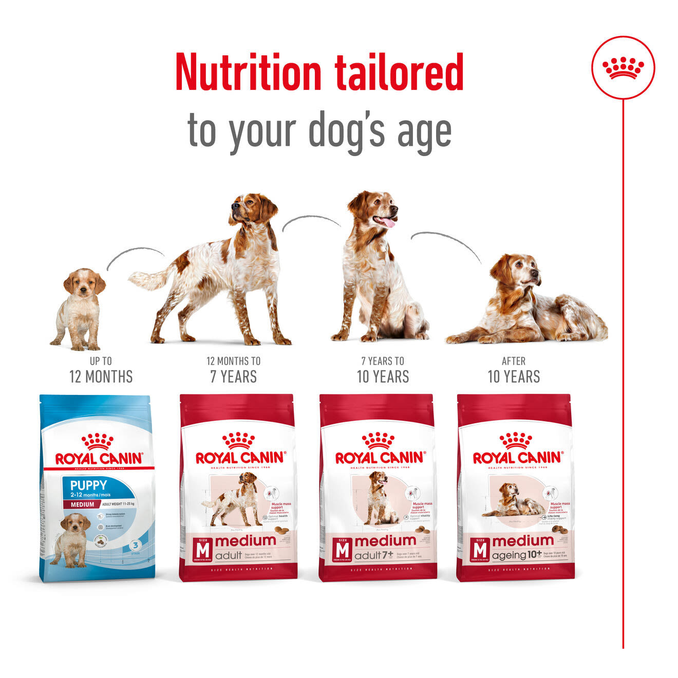 Royal Canin Medium Adult Dry Dog Food