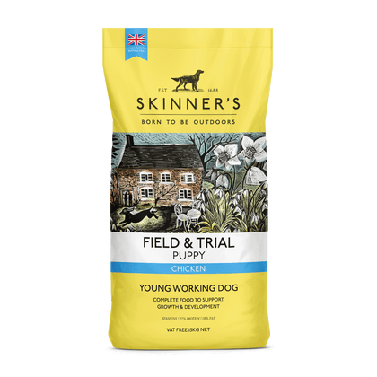 Skinners Field & Trial Puppy