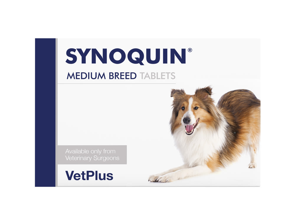 Synoquin EFA Chewable Tablets for Medium Dog