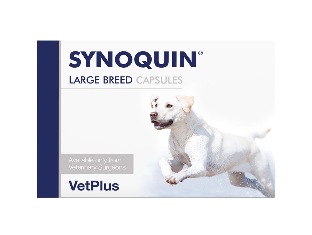 Synoquin EFA Sprinkle Capsules for Large Dog