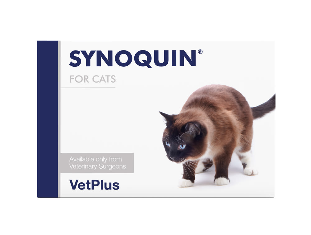 Synoquin EFA Capsules for Cat