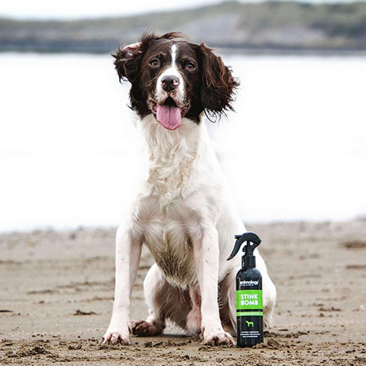 Animology Stink Bomb Refreshing Dog Spray