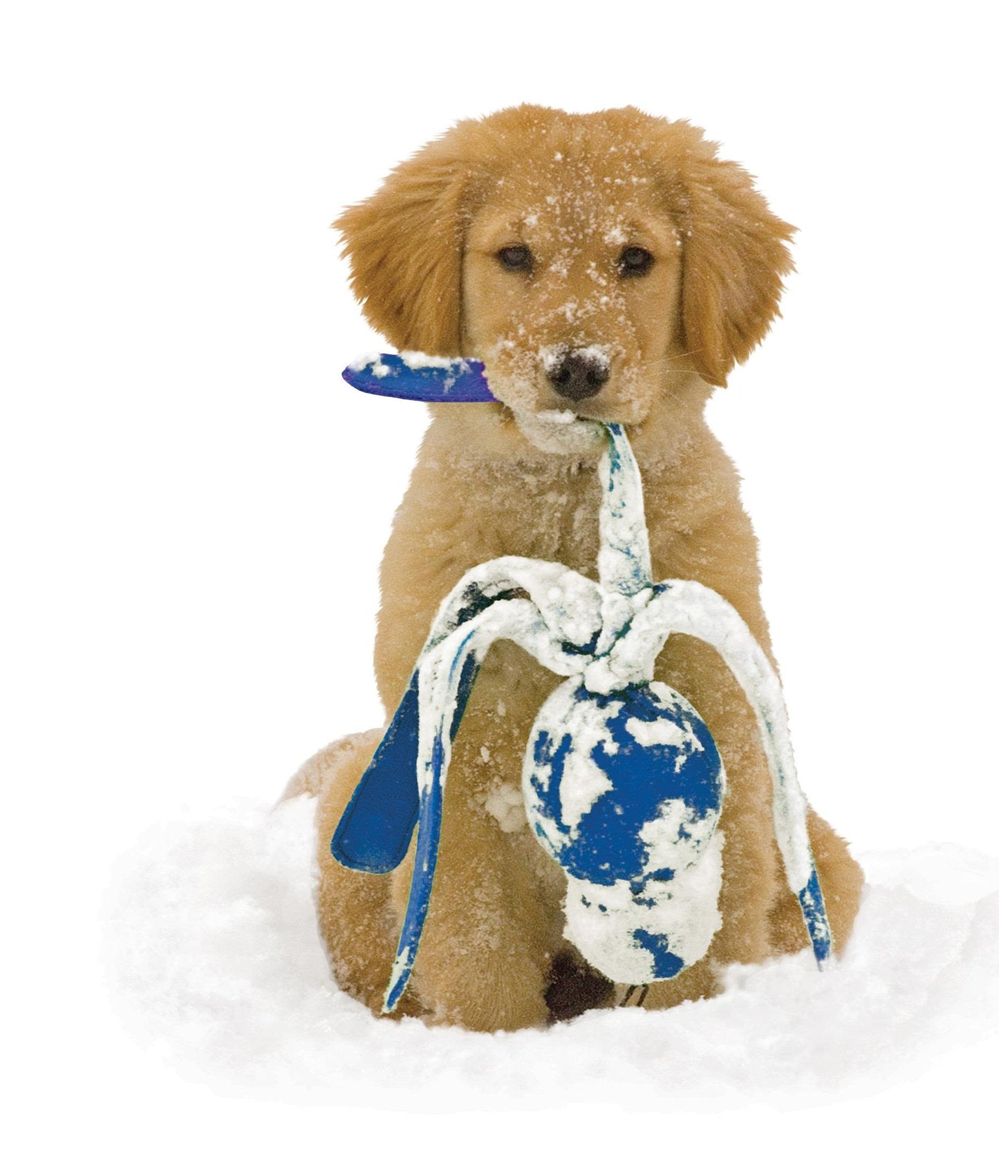 KONG Assorted Wubba Puppy Dog Toy