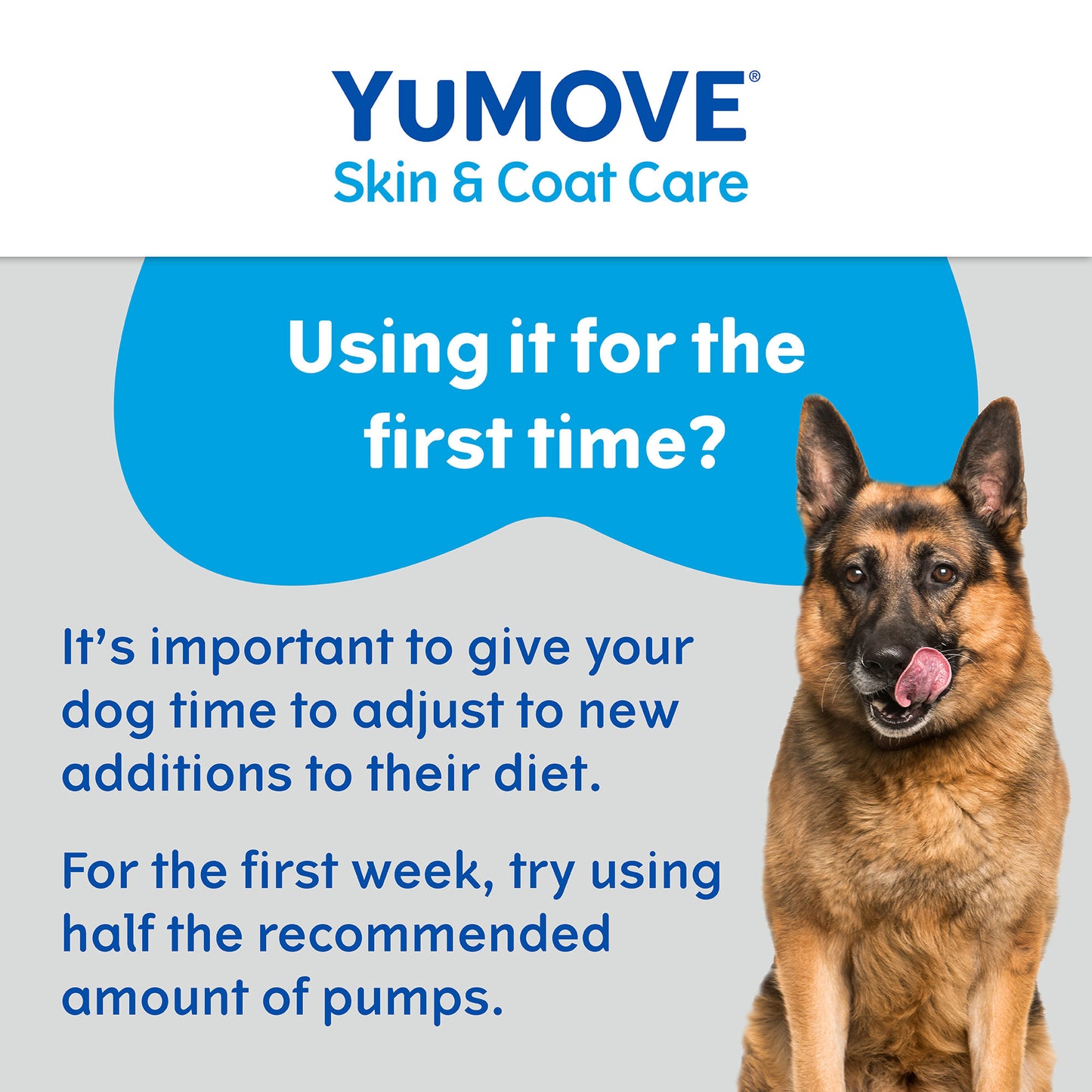 YuMOVE Skin & Coat Care Itching Supplement Oil for Dogs