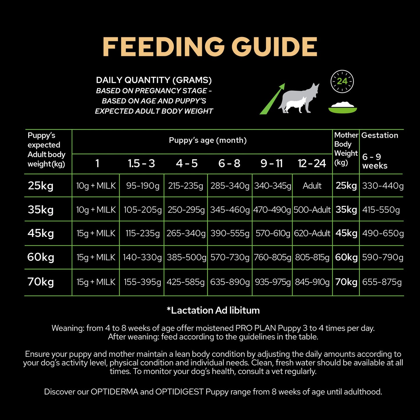 Purina Pro Plan Croquette Athletic Large Puppy Dry Dog Food - Chicken & Rice