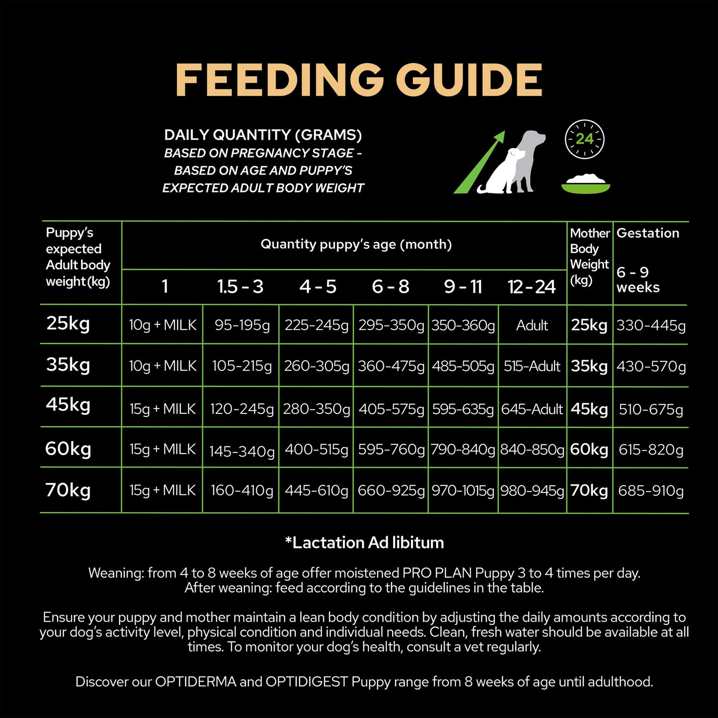 Purina Pro Plan Croquette Robust Large Puppy Dry Dog Food - Chicken & Rice