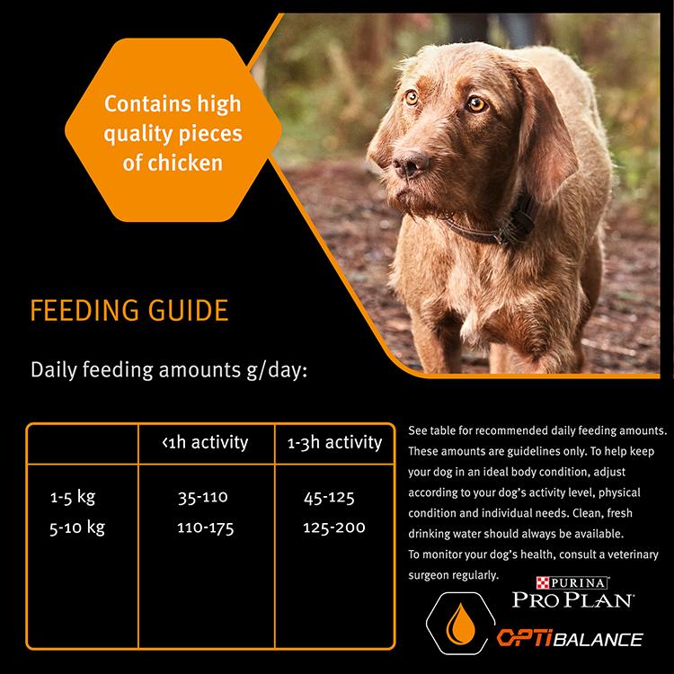 Purina Pro Plan Small & Mini Everyday Nutrition Dry Dog Food - Chicken