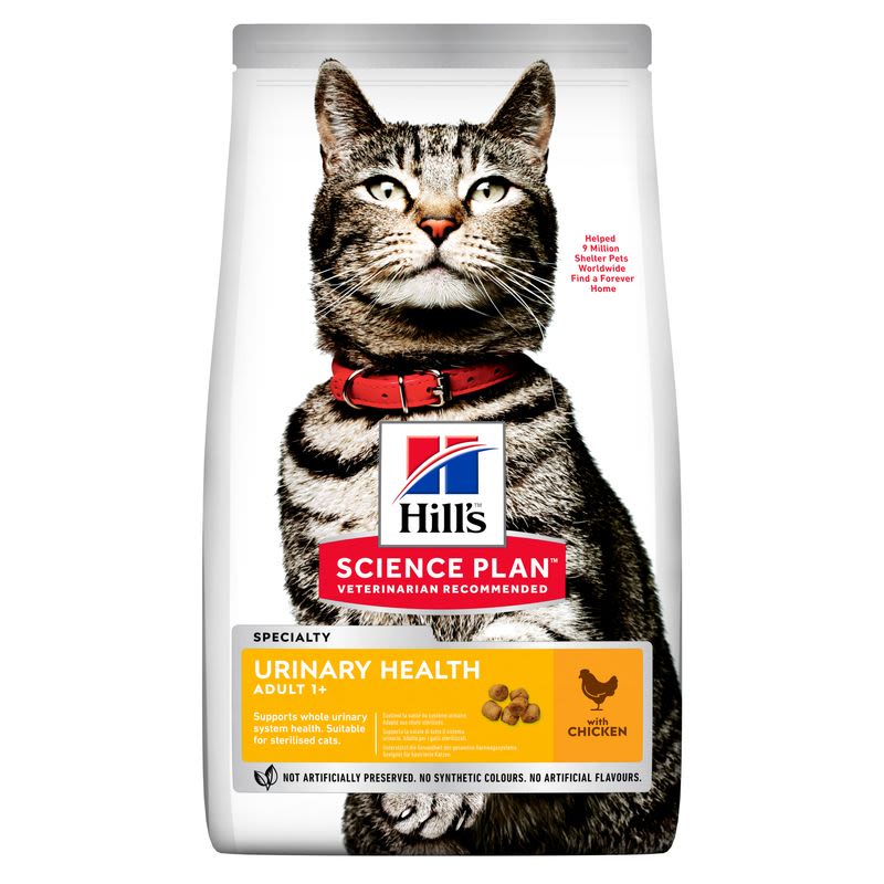 Does My Cat Need Urinary Food Forever? Essential Facts Revealed