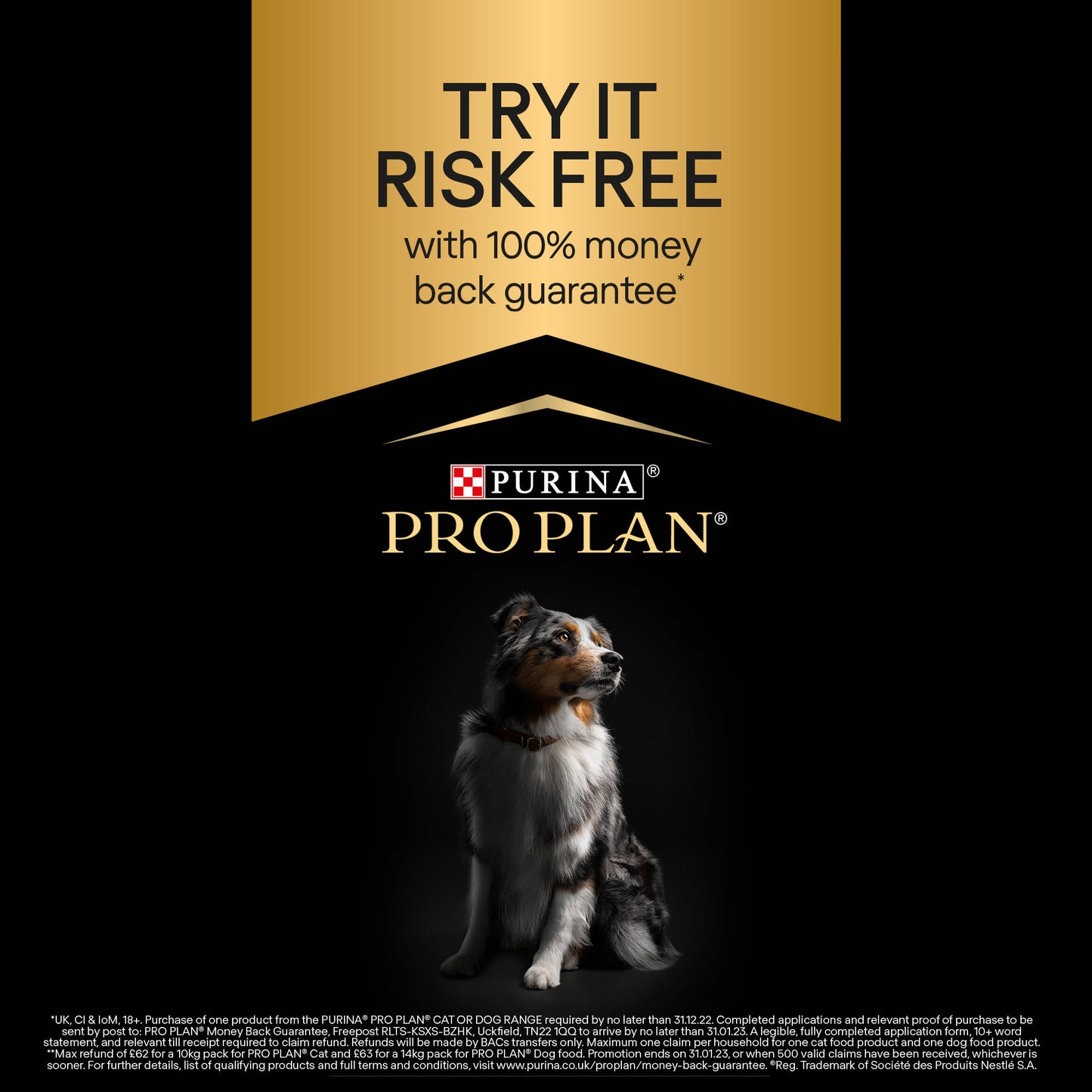 Purina Pro Plan Opti Derma Sensitive Skin Medium/Large Adult 7+ Dry Dog Food - Salmon