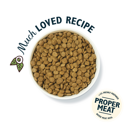 Lily's Kitchen Organic Adult Dry Dog Food - Chicken Bake with Vegetables & Herbs