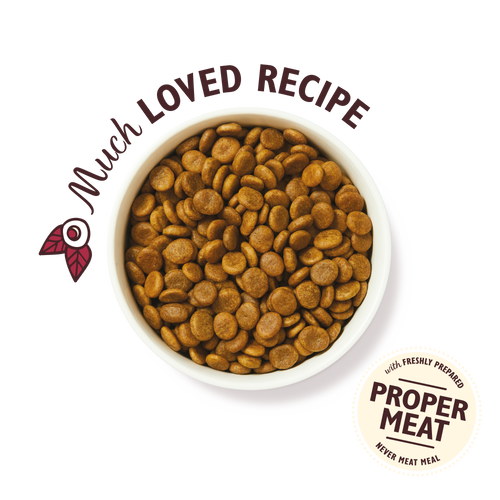 Lily's Kitchen Wild Woodland Walk Adult Dry Dog Food