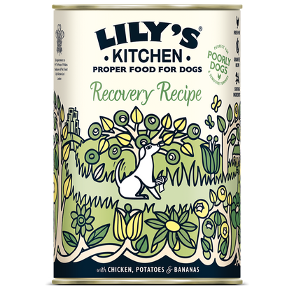 Lily's Kitchen Recovery Recipe Wet Dog Food - Chicken, Potatoes & Bananas