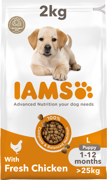 IAMS for Vitality Puppy Food Large Breed with Chicken