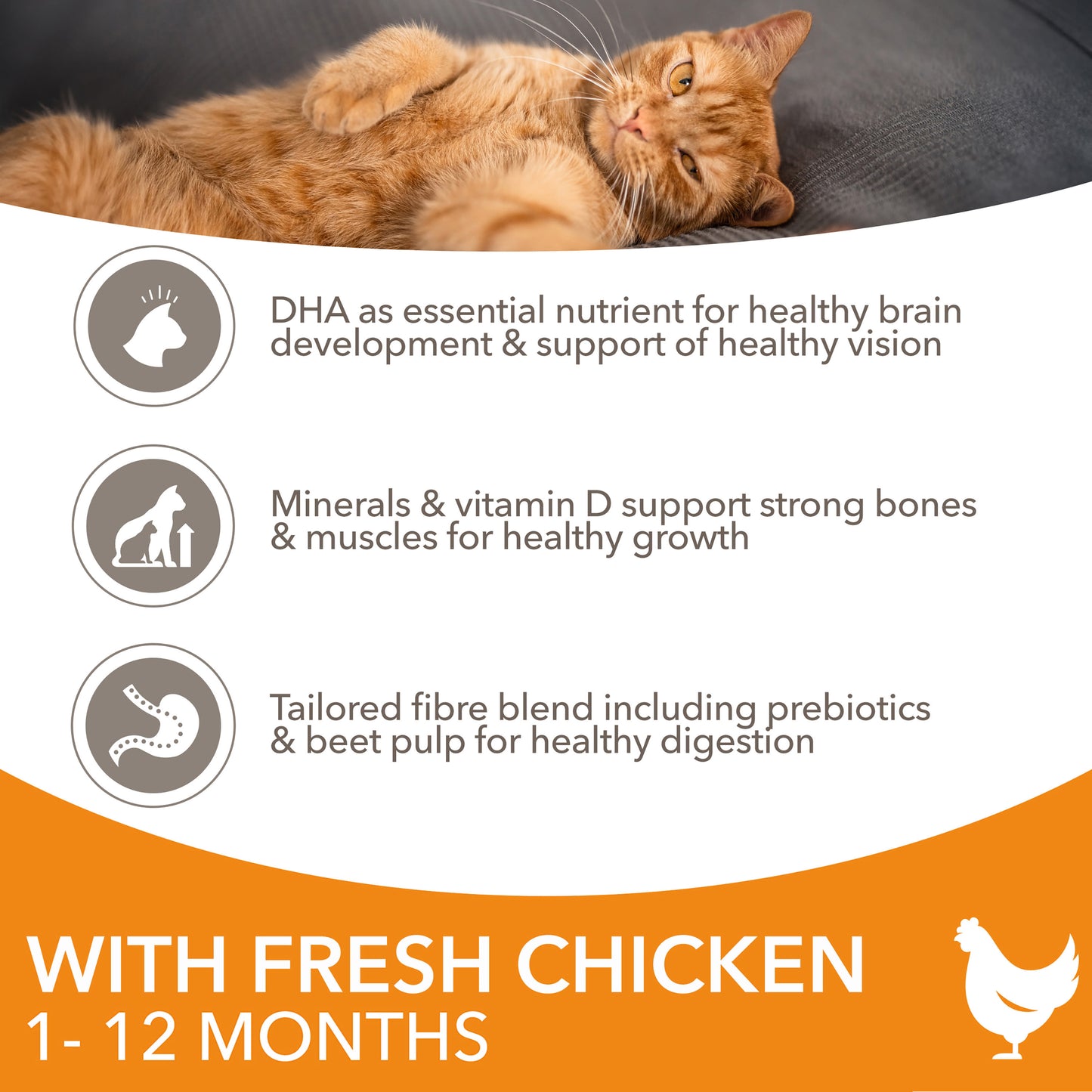 IAMS for Vitality Kitten Food with Chicken