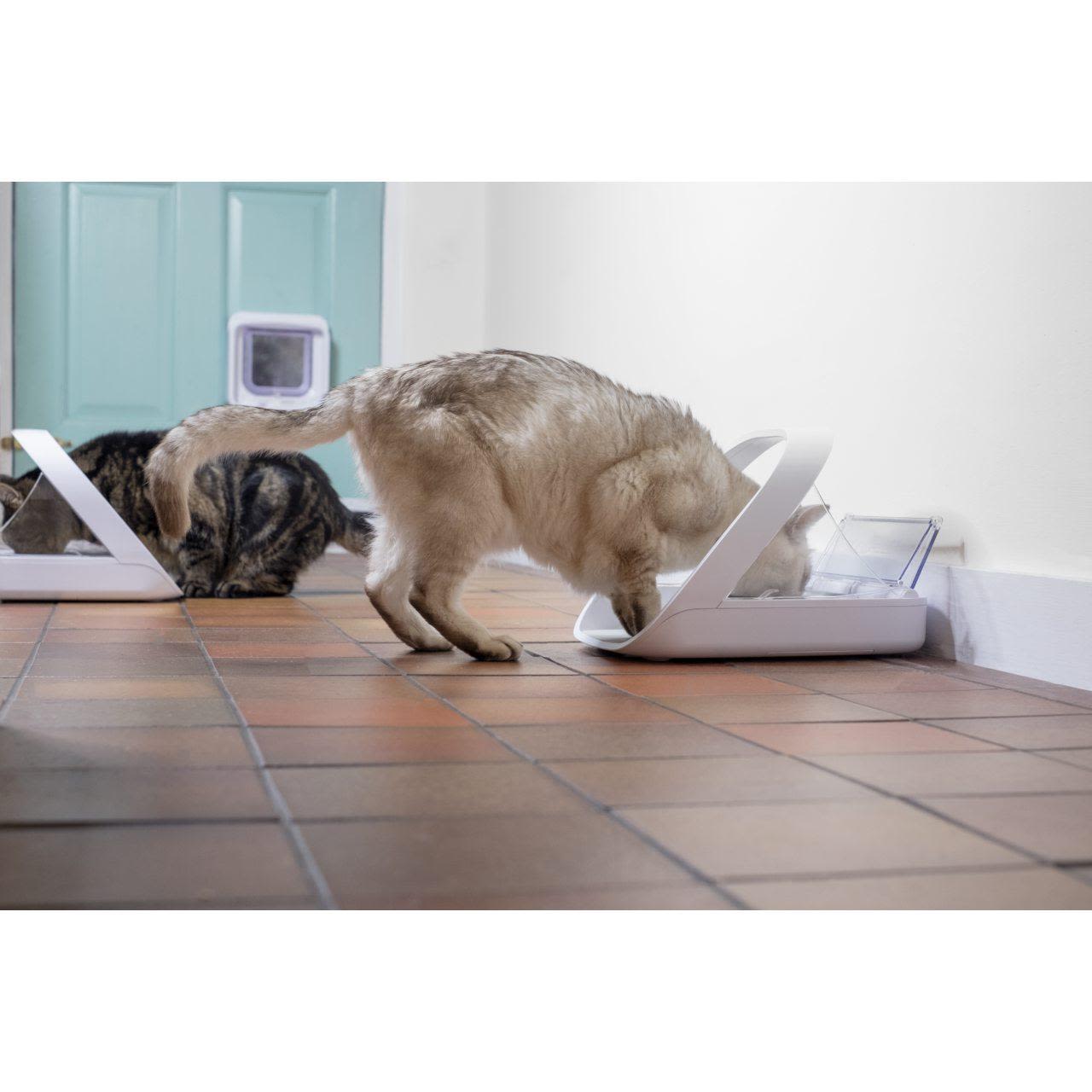 SureFlap SureFeed Microchip Pet Feeder