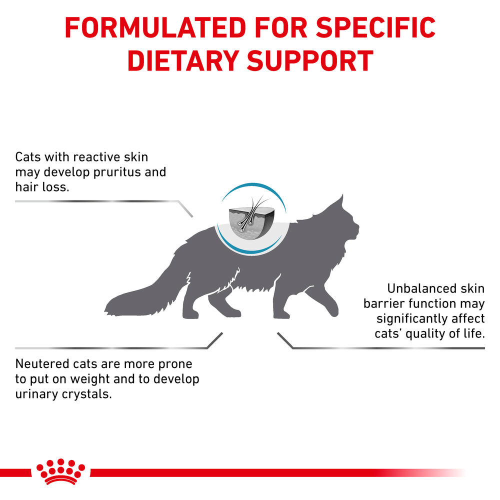 Royal Canin Skin & Coat Adult Dry Cat Food
