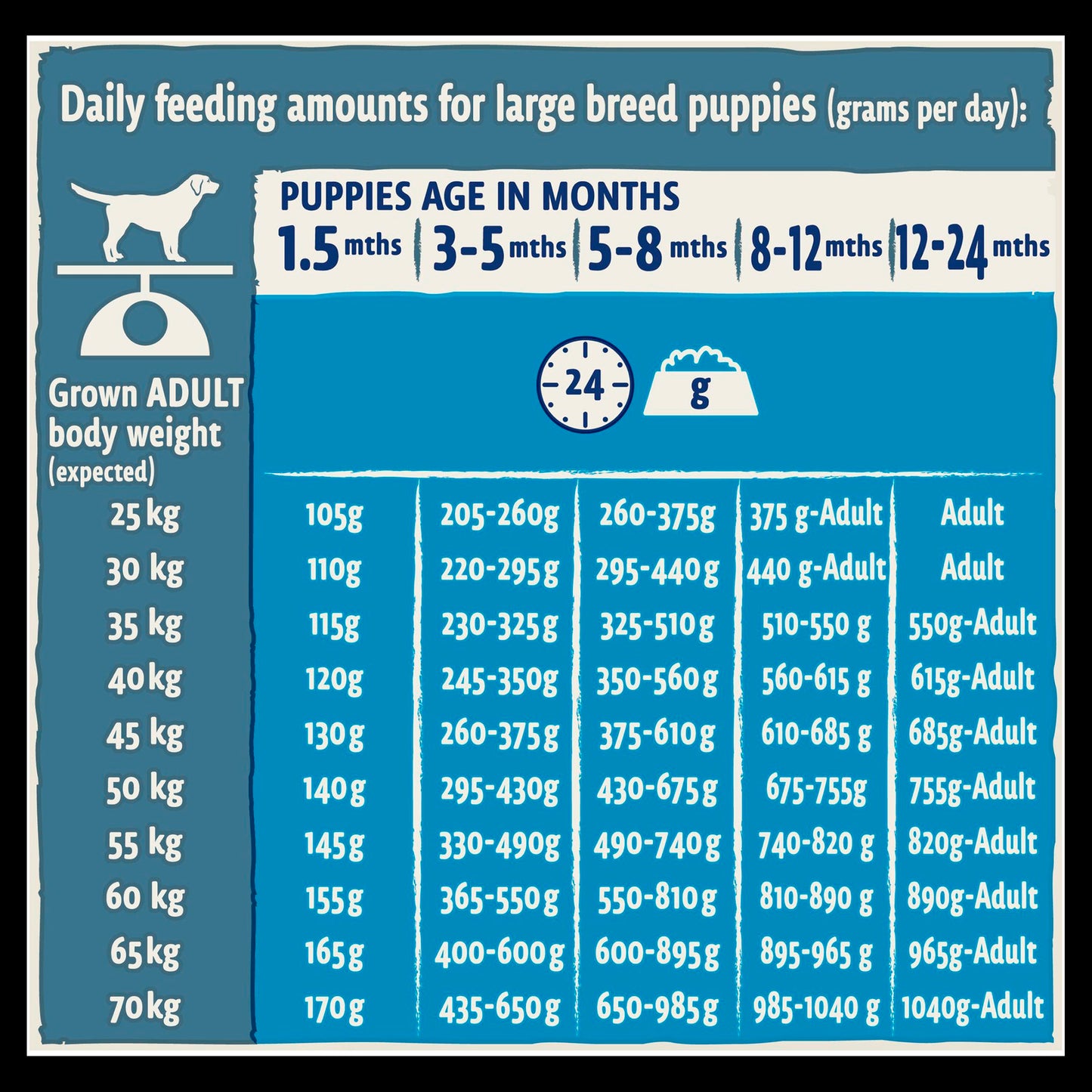 BETA Large Breed Puppy Dry Dog Food - Turkey