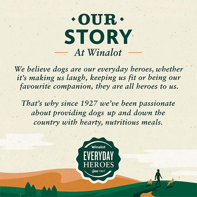 WINALOT Dog Food Pouches Mixed In Gravy