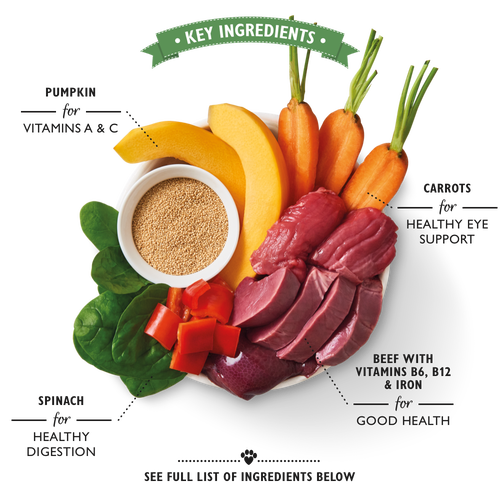 Lily's Kitchen Beef Goulash for Dog