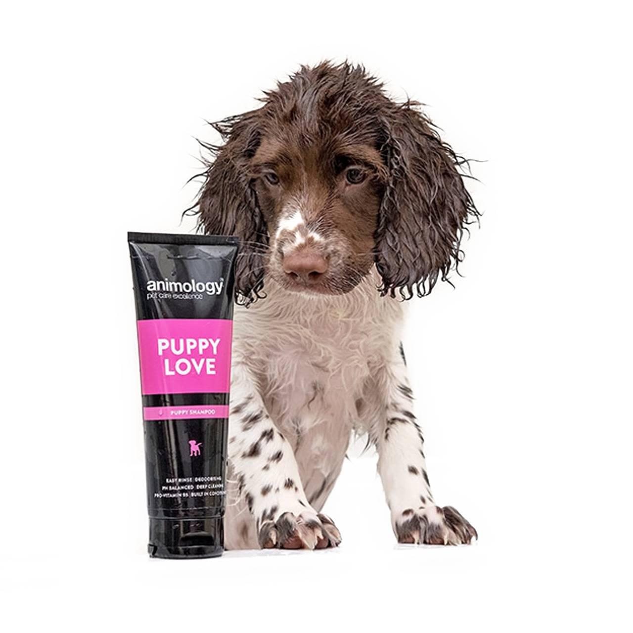 Animology Puppy Love Shampoo