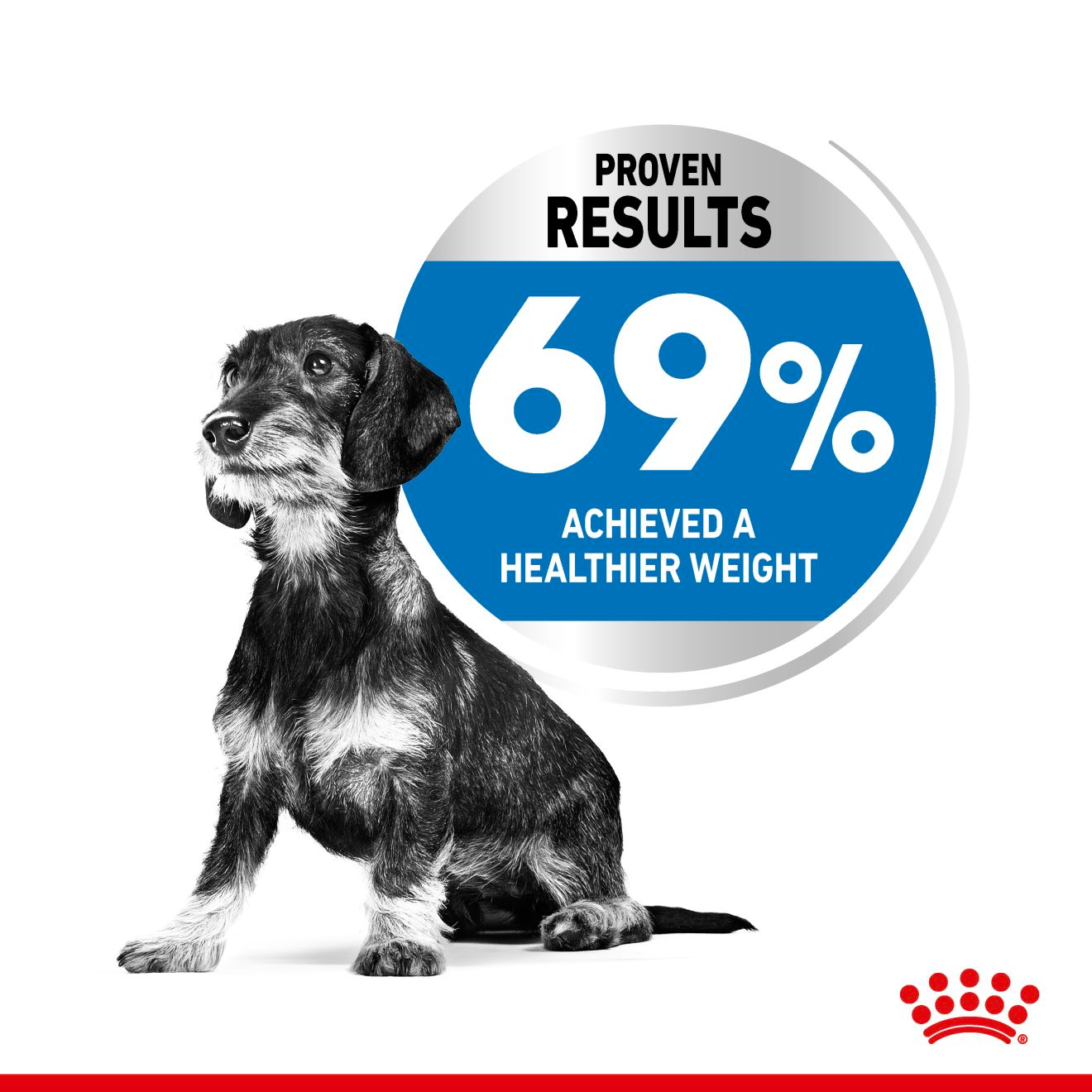 Royal Canin X-small Dry Dog Food