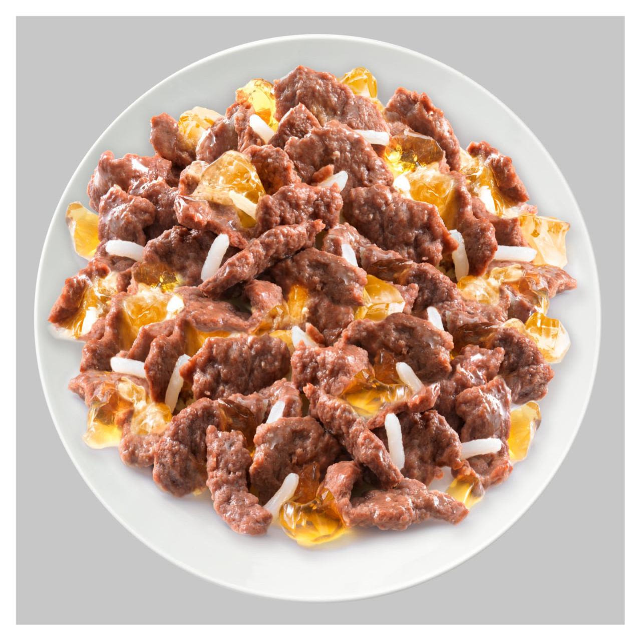 Cesar Senior Wet Dog Food Pouches Mixed Selection in Jelly