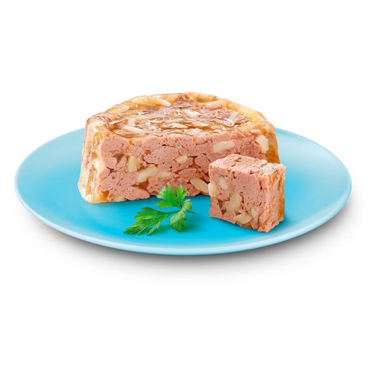 CESAR Senior Wet Dog Food Trays Meat in Delicate Jelly