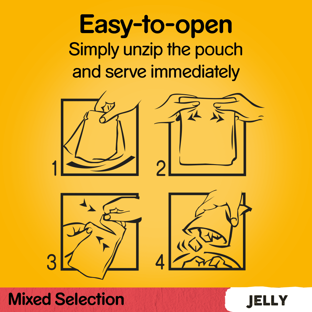 Pedigree Mixed Selection in Jelly Adult Dog Pouches